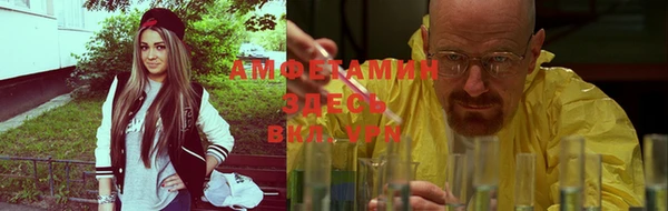 индика Алзамай