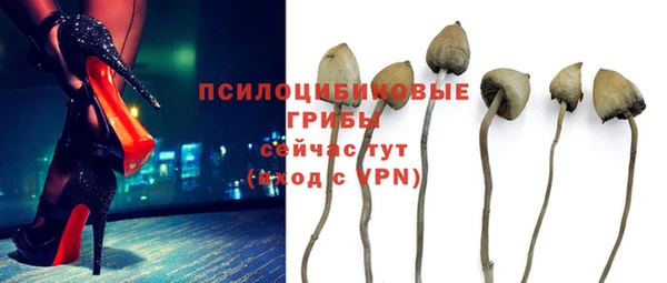 индика Алзамай