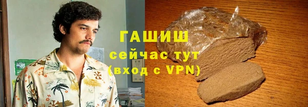 индика Алзамай