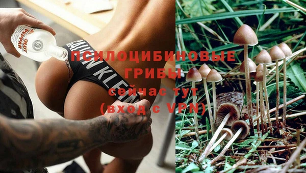 дживик Алексеевка