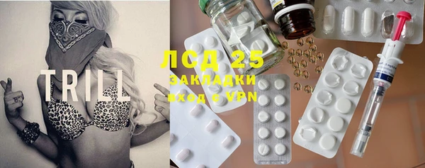 индика Алзамай