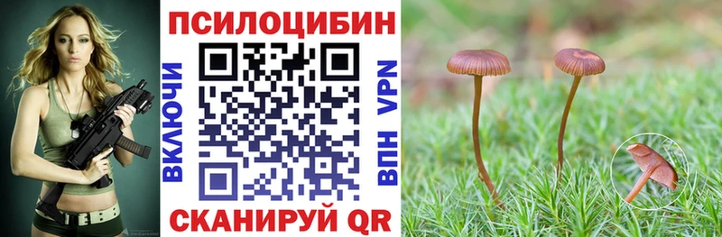 где купить наркоту  Брянск  Галлюциногенные грибы Psilocybe 